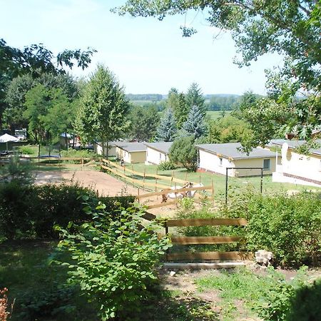 Bungalows Zur Alten Faehre Werder  Room photo