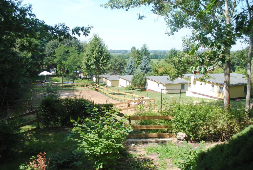 Bungalows Zur Alten Faehre Werder  Room photo