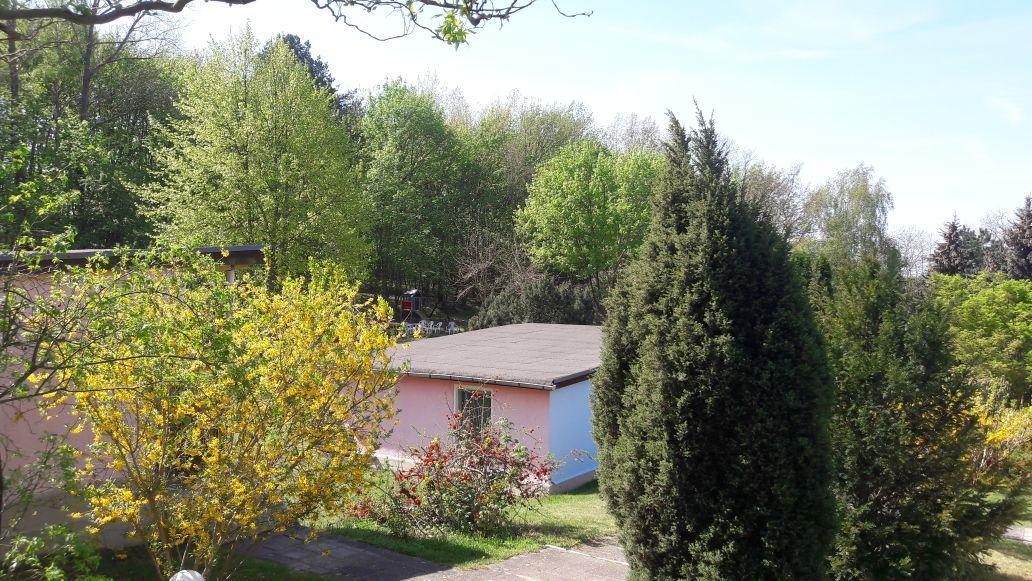 Bungalows Zur Alten Faehre Werder  Exterior photo