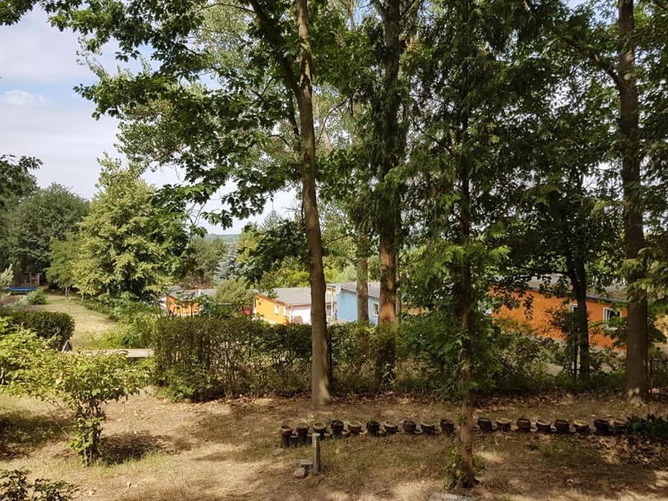 Bungalows Zur Alten Faehre Werder  Exterior photo